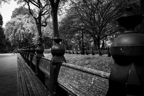 KristaNutterPhotography_Central Park Bench black and white of long bench in central park nyc Fine Art and Painted Portraits by Krista Nutter Photography Cincinnati