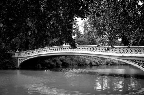 KristaNutterPhotography_Central Park Bridge black and white of bridge in central park nyc Fine Art and Painted Portraits by Krista Nutter Photography Cincinnati