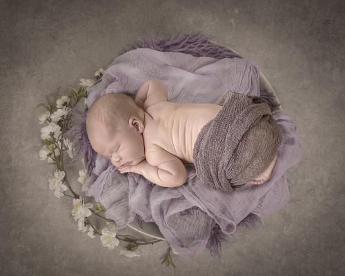 KristaNutterPhotographySilverFloral-Exposureshurts2-2  newborn from above laying on stomach in purple floral basket family and pet portraits by Krista Nutter Photography